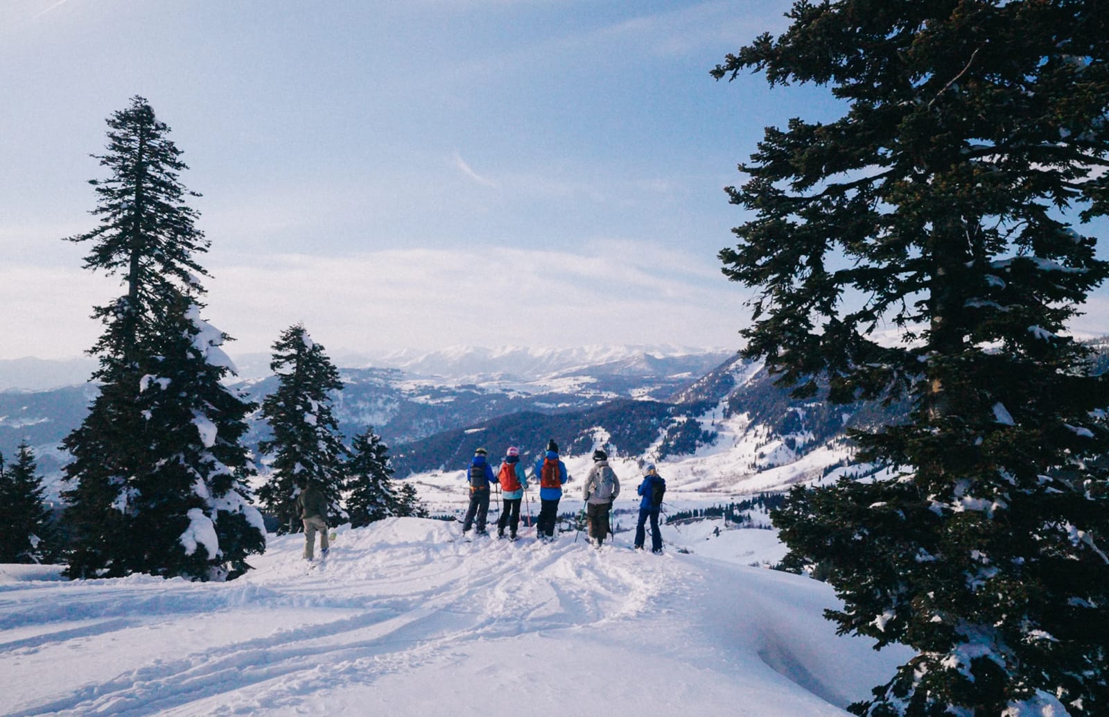 A group of skiers looking over a snowy valley between pine trees in Goderdzi